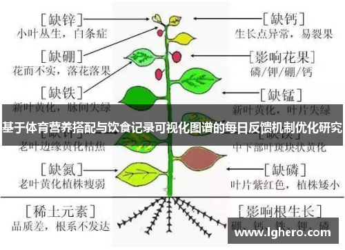 基于体育营养搭配与饮食记录可视化图谱的每日反馈机制优化研究
